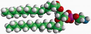 15:0 PE 850704P-25MG