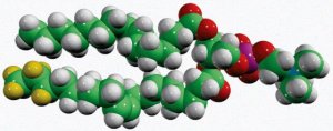 15:0-18:1-d7-PC 791637C-1MG