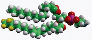 15:0-18:1-d7-PE 791638C-1MG