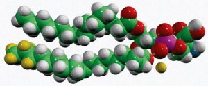 15:0-18:1-d7-PS 791639C-1MG
