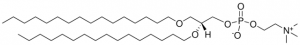 16:0 Diether PC 999992P-10MG