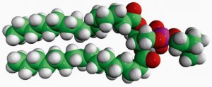 16:0 Dimethyl PE 850854P-25MG