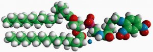 16:0 DNP Cap PE 810528C-25MG