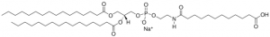 16:0 Dodecanoyl PE 870265P-25MG