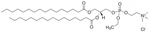 16:0 EPC (Cl Salt) 