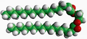 16:0 Ethylene Glycol 800604P-10MG