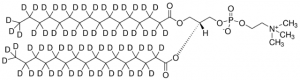 16:0 PC-d62 