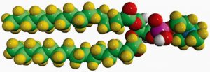16:0 PC-d75 