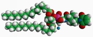 16:0 PE MCC 780200P-25MG