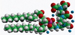 16:0 PE-DTPA 790106P-5MG