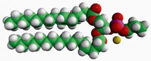16:0 Phosphatidylpropanol 860102C-25MG
