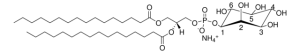 16:0 PI 