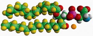 16:0 PS-d62 860401P-10MG
