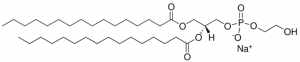 16:0 Ptd Ethylene Glycol 870305P-25MG
