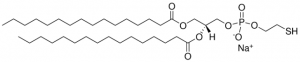 16:0 Ptd Thioethanol 