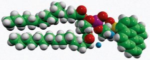 16:0 Pyrene PE 810334C-1MG