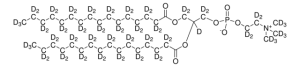 16:0 rac PC-d80 