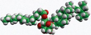 16:0 stigmasteryl glucose 700168P-1MG