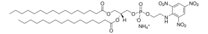 16:0 TNP PE 810738P-1MG
