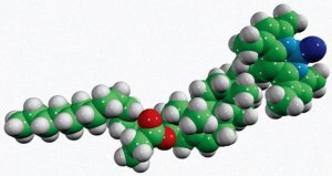 16:0 TopFluor cholesterol 810288P-1MG