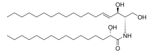 16:0(2S-OH) Ceramide 860816P-5MG