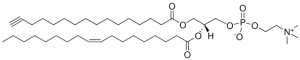 16:0(Alkyne)-18:1 PC 