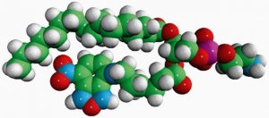 16:0-06:0 NBD PE 810153C-1MG