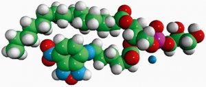 16:0-06:0 NBD PG 810163P-1MG