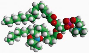 16:0-10 Doxyl PC 810603C-1MG