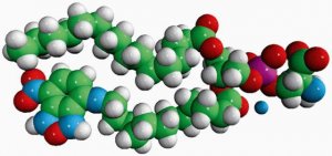 16:0-12:0 NBD PS 810193C-1MG