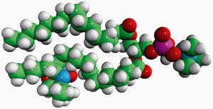 16:0-14 Doxyl PC 810605C-1MG