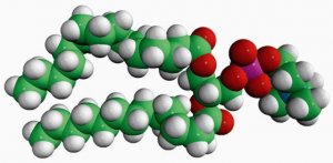 16:0-14:0 PC 850454C-25MG