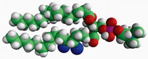 16:0-18:0 (6-7BR) PC 850480C-10MG