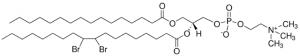 16:0-18:0 (9-10BR) PC 850481P-10MG