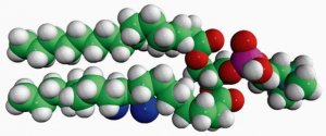 16:0-18:0 (9-10BR) PC 850481C-10MG