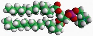 16:0-18:0 PC 850456C-25MG