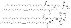 16:0-18:1 Cardiolipin 710341C-25MG