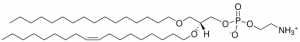 16:0-18:1 Diether PE 999974P-10MG