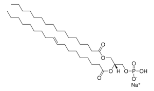 16:0-18:1 PA 