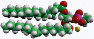 16:0-18:1 Phosphatidylethanol 840514C-25MG