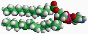 16:0-18:2 PE 850756C-25MG