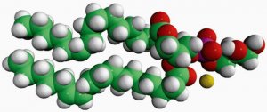 16:0-18:2 PG 840497C-25MG
