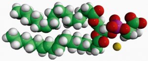 16:0-18:2 PS 840060C-10MG