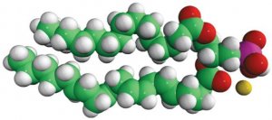 16:0-20:4 PA 840859C-25MG