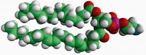 16:0-20:4 PE 850759C-25MG