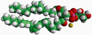 16:0-20:4 PG 840499C-25MG