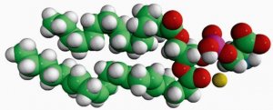 16:0-20:4 PS 840061C-10MG