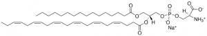 16:0-22:6 PS 840062C-25MG