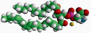 16:0-22:6 PS 840062C-25MG