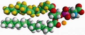 16:0-d31-18:1 PS 860403C-10MG